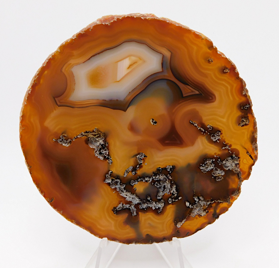 polished brazilslab