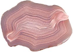 arizona pink3